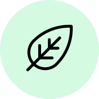 Icon of a leaf